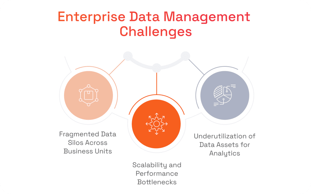 Enterprise Data Management Challenges