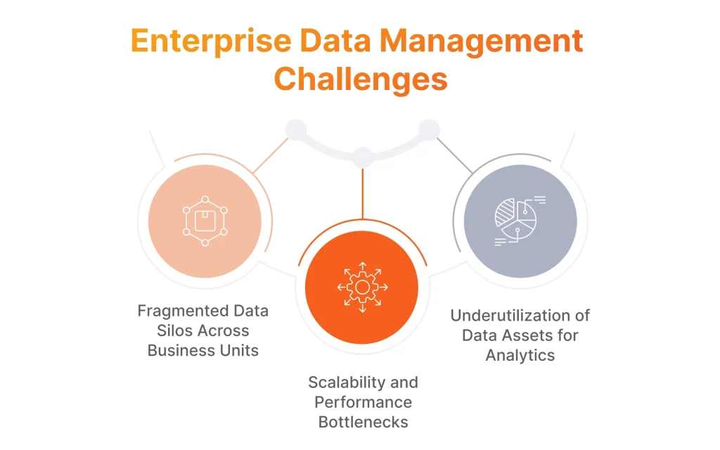 Enterprise Data Management Challenges
